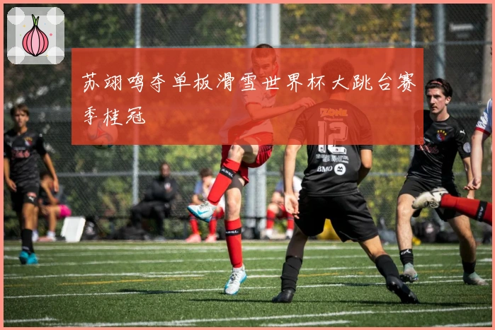 苏翊鸣夺单板滑雪世界杯大跳台赛季桂冠
