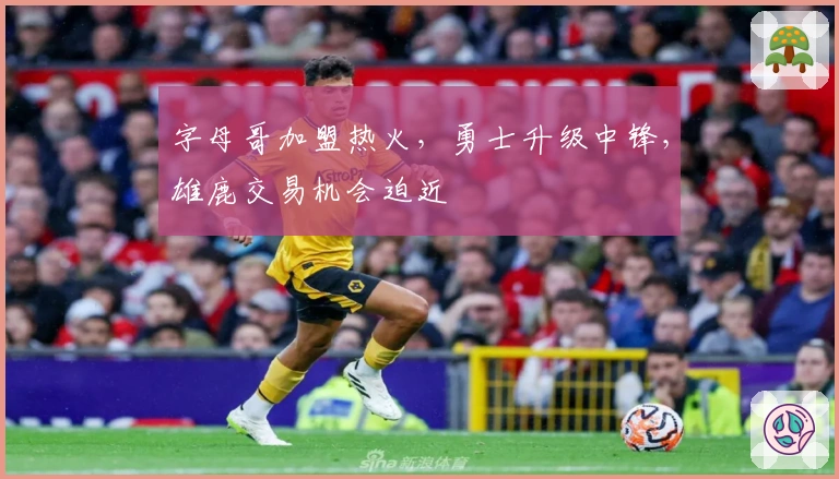 字母哥加盟热火，勇士升级中锋，雄鹿交易机会迫近