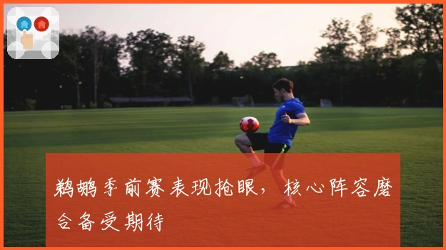 鹈鹕季前赛表现抢眼，核心阵容磨合备受期待